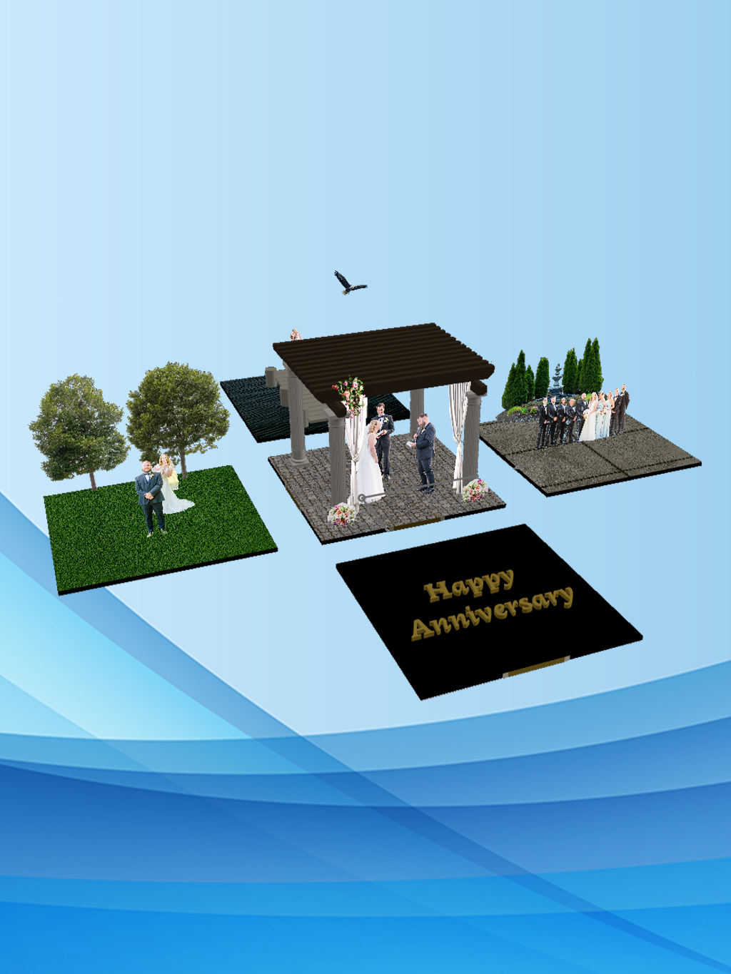 Portfolio Image
